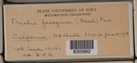 Image Associated With the Occurence
